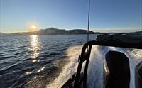 Fjordtur til Mostraumen i RIB-båt