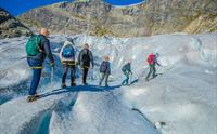 Nigardsbreen Glacier, Jostedal