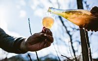 Ciderhuset - cider smaking