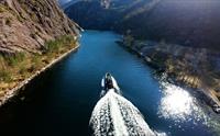 Fjordtur til Mostraumen i RIB-båt