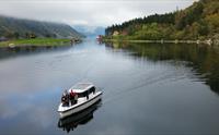 Flesje Gard Fjordcruise