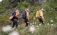Turgåarar går langs ein sti i fjellandskapet på Dronningstien.