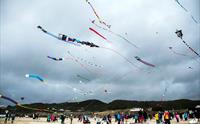 Kites in the air on the beach. Crowds of people