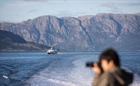 Norled Fjord Cruise