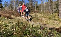 Guidet fjelltur i Bergen inkludert lunsj