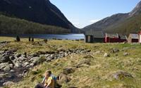 Torsnesstølen / Fjelltveit