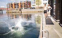 Heit Bergen Sauna Måseskjæret