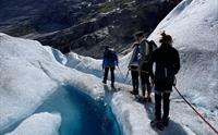 Nigards - IceTroll