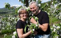 Eplebønder frå Ulvik Frukt & Cideri nyt våren i Hardanger sin vakre frukthage.