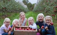Kids eating apples