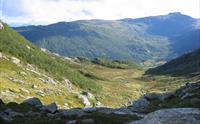 Kvålsbotn