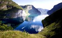 Utsikt over fjord