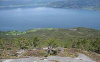 Grotnes sett ovanfrå