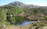 Raunlivatnet badar i sol
