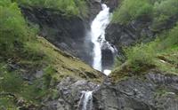 foss