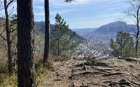 Guidet fjelltur i Bergen inkludert lunsj