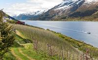 Gård ved fjorden med fjellutsikt og en båt som skaper bølger på vannet.