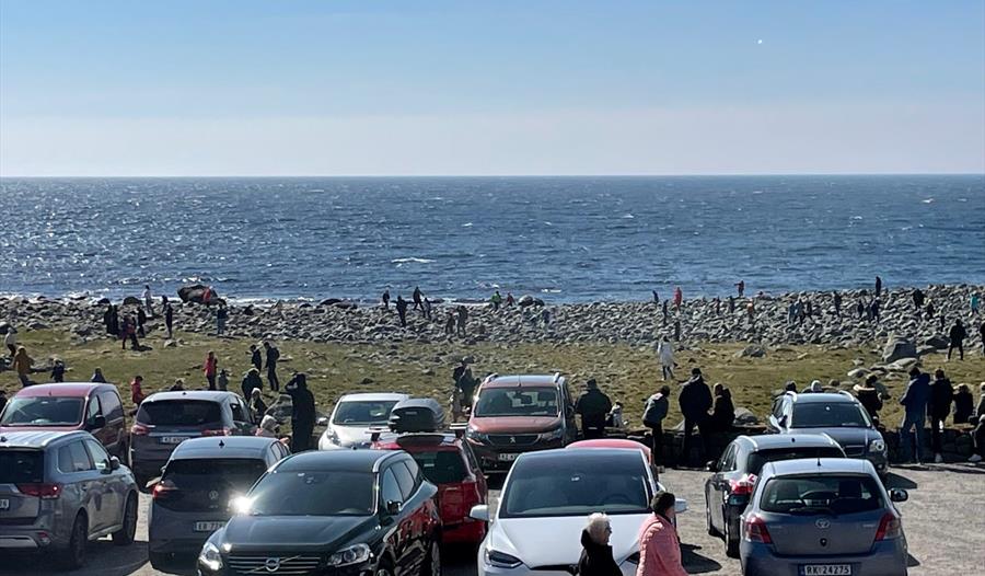 Bilde av folk med bilene sine tett ved kysten. Bilde av folk med bilene sine tett ved kysten.