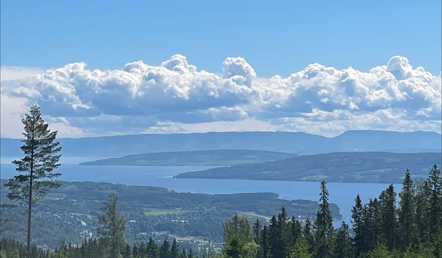 Utsikt fra Bjørgeberget